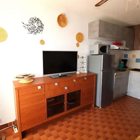 Lägenhet Duplex 2 Pieces Avec Terrasse, Solarium Et Parking Prive Proche Et Commerces - Fr-1-307-271 *